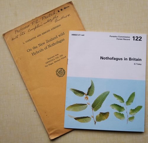 On the New Zealand Wild Hybrids of Nothofagus