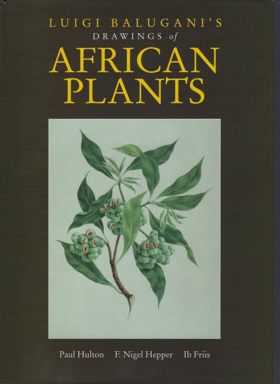 Luigi Balugani's Drawings of African Plants - from the collection made by James Bruce of Kinnaird on his travels to discover the source of the Nile, 1776 - 1773