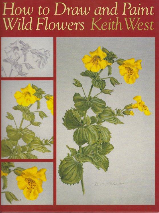 How to Draw and Paint Wild Flowers