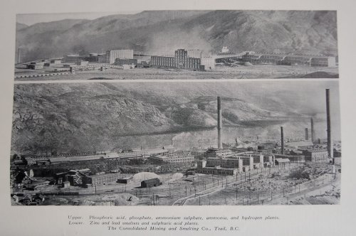 Effect of Sulphur Dioxide on Vegetation