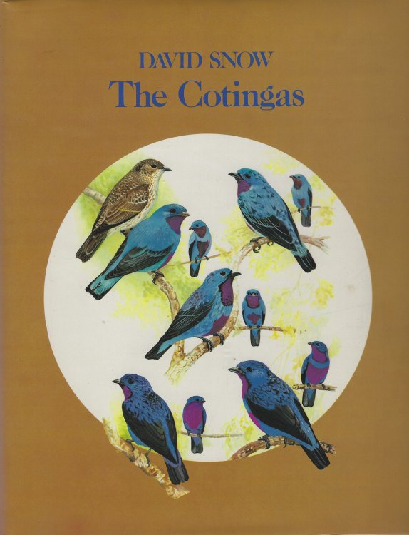 The Cotingas - Bellbirds, Umbrellabirds and their Allies