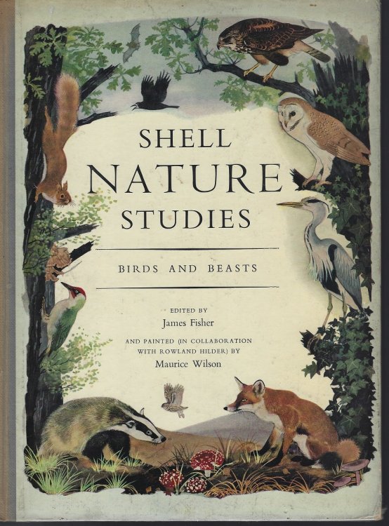 Shell Nature Studies - Birds and Beasts