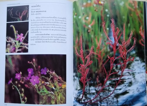 Queen Sirikit Botanic Garden. Volume 7