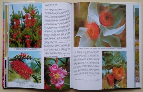 Wildflowers of Western Australia