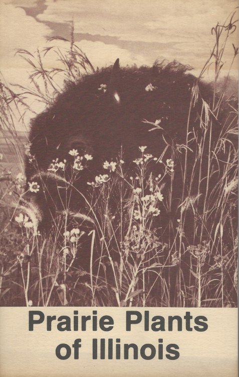 Image for Prairie Plants of Illinois Prairie Plants of Illinois