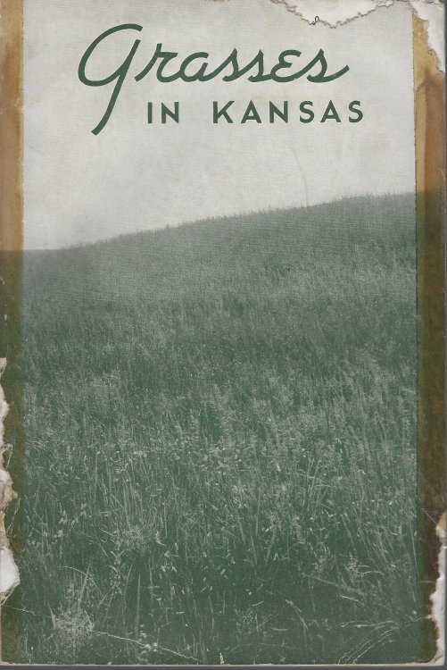 Grasses in Kansas