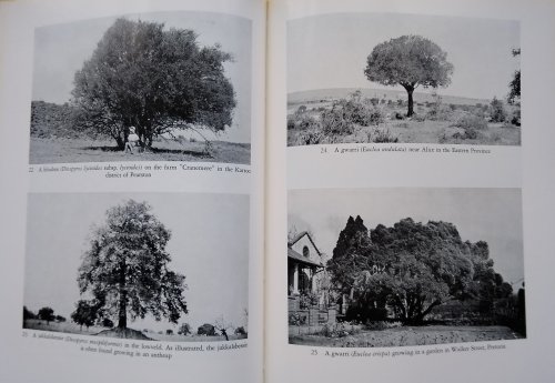 Trees of South Africa
