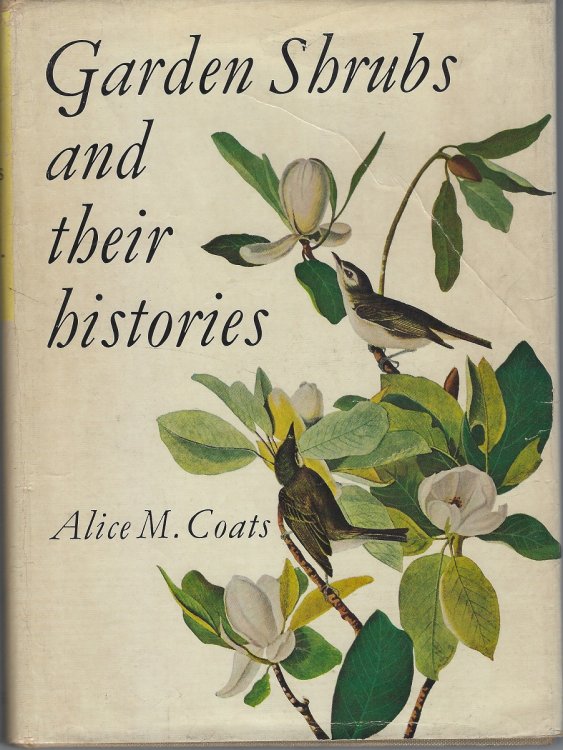 Garden Shrubs and Their Histories