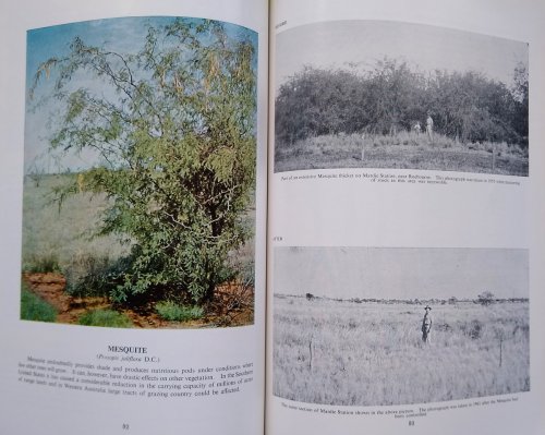 Weeds of Western Australia