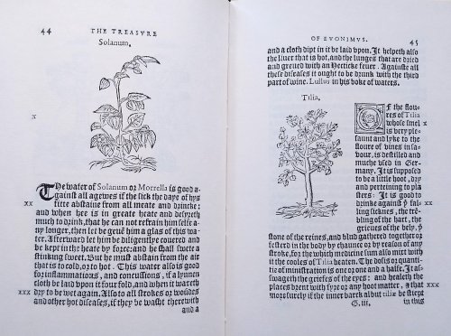 The Treasure of Euonymus, containing the wonderful hid secretes of nature, Touchinge the Most Apte Formes to Prepare and Destyl Medicines, for the Conservation of Helth: as Quintessence, aromatical wynes, balmes, oyles, perfumes. [1559]