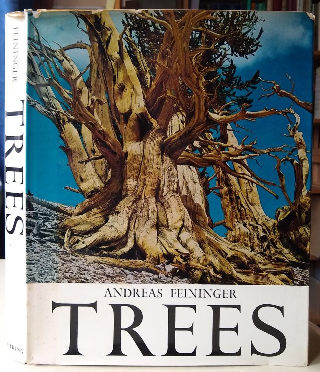 Trees [Dan Mayers' copy]