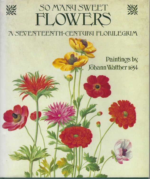 So Many Sweet Flowers - a Seventeenth-Century Florilegium : Paintings by Johann Walther, 1654 [Wendy Page's copy]