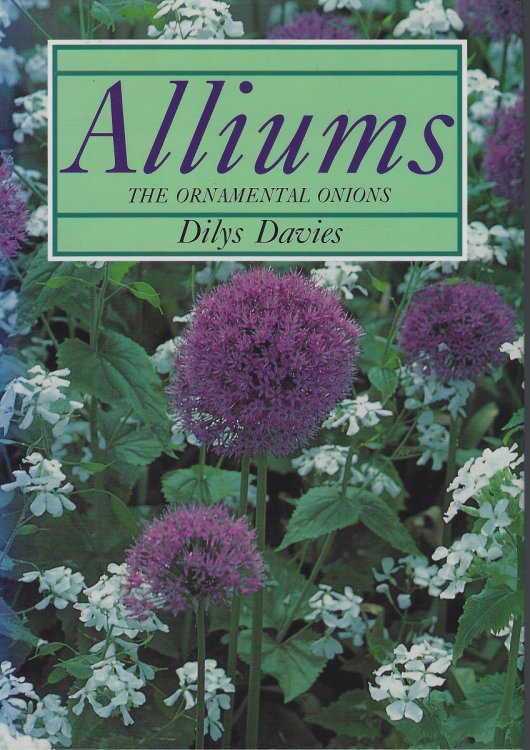 Alliums - The Ornamental Onions