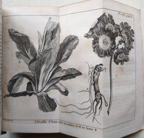 Le Spectacle de la Nature ou entretiens sur les particularites de l'histoire naturelle. Tome Second, Premiere Partie - Contenat ce qui regarde le dehors & l'interieeur de la terre