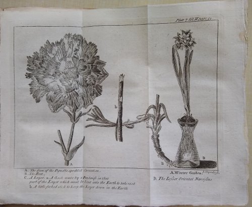 Spectacle de la Nature: or, Nature Display'd. Being Discourses on such particulars of natural history as were thought most proper to excite the curiosity and form the minds of youth. Volume II.
