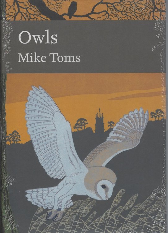Owls