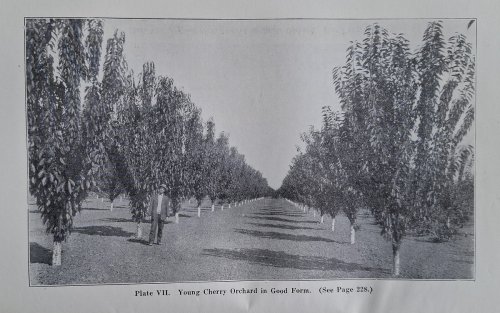 The California Fruits and how to Grow Them. A Manual of Methods Which Have Yielded Greatest Success: With Lists of Varieties Best Adapted to the Different Districts of the State