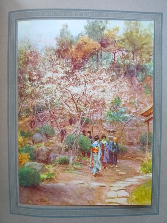 Japanese Gardens