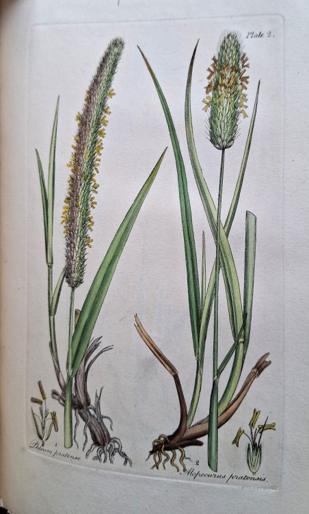 Literary Life and Select Works of Benjamin Stillingfleet, Several of Which Have Never Before Been Published. Illustrated With Plates. Volume II Part I - Poetry and Natural History