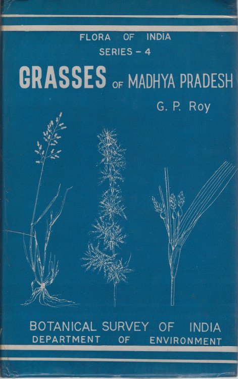 Grasses of Madhya Pradesh
