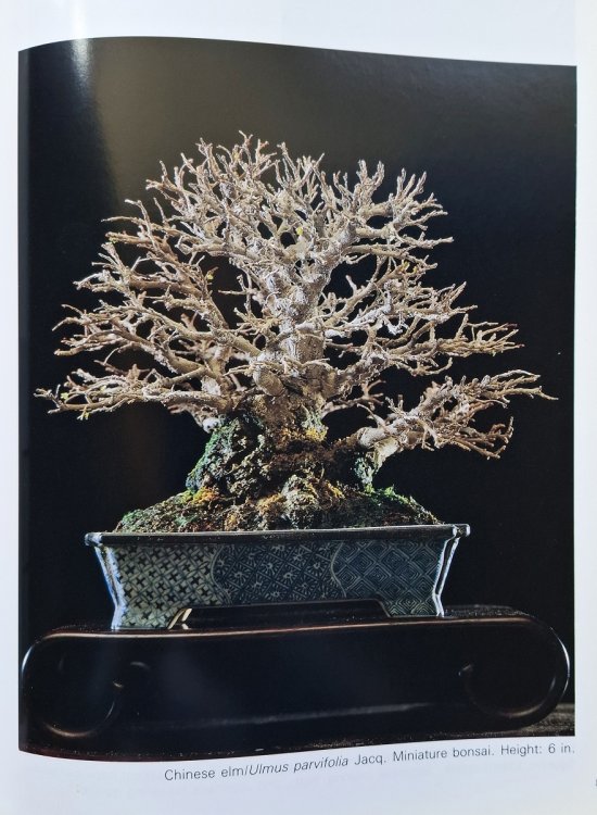 The Living Art of Bonsai - Principles and Techniques of Cultivation and Propagation
