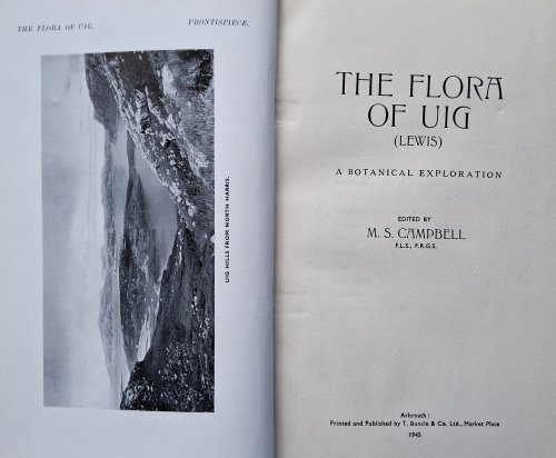The Flora of Uig (Lewis) - a botanical exploration