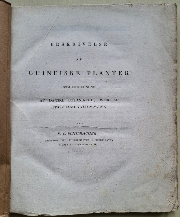 Beskrivelse af Guineiske Planter som ere fundne af Danske botanikere, isaer af etatsraad Thonning [Frank White's copy]