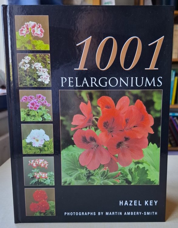 1001 Pelargoniums