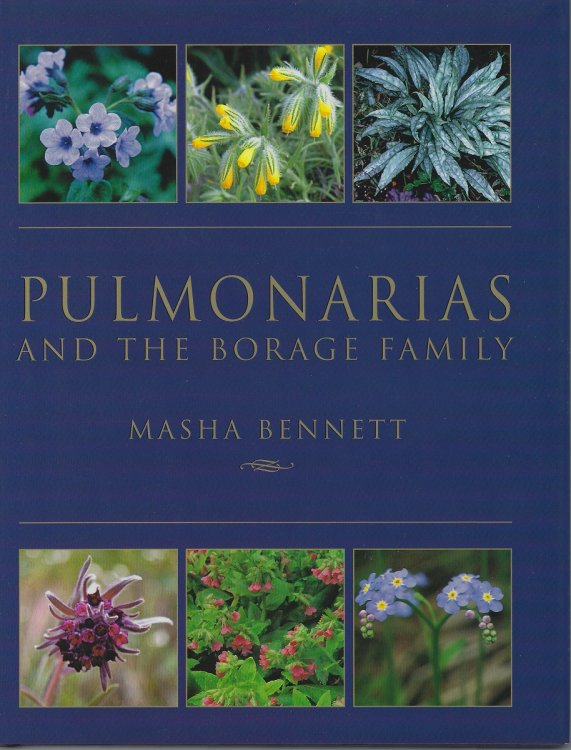 Pulmonarias and the Borage Family