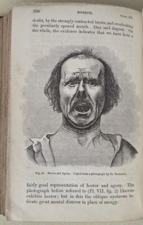 The Expression of the Emotions in Man and Animals