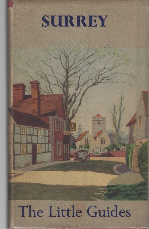 Surrey (The Little Guides series)