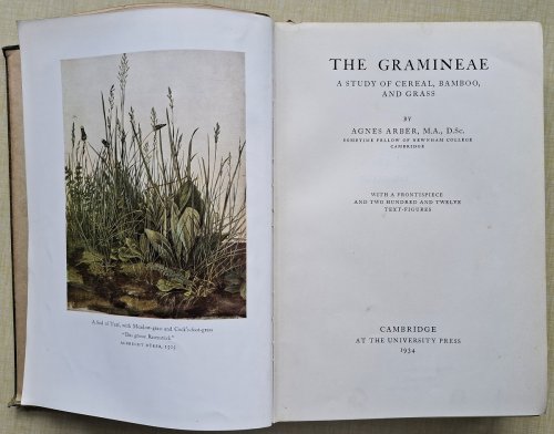 The Gramineae - a study of cereal, bamboo, and grass