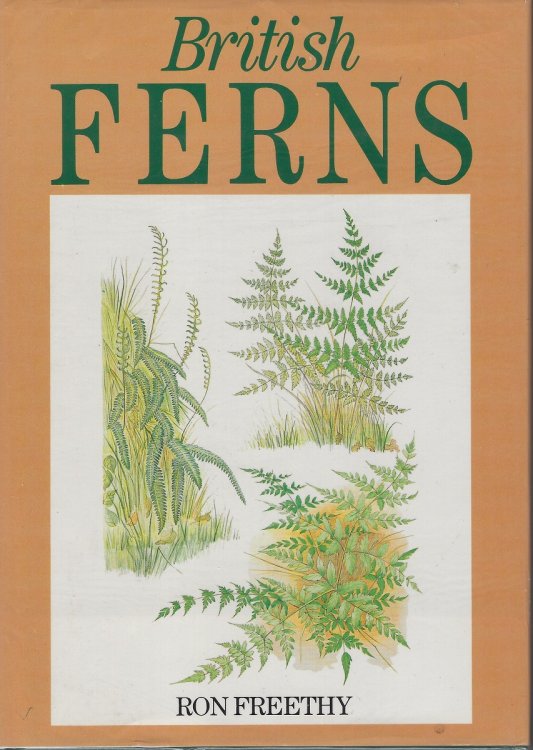 British Ferns