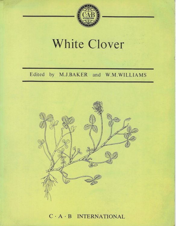 White Clover