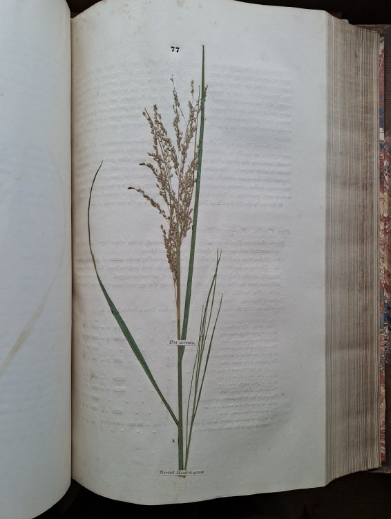 Hortus Gramineus Woburnensis: or, An Account of the Results of Experiments on the Produce and Nutritive Qualities of Different Grasses and Other Plants, used as food of the more valuable domestic animals: instituted by The Duke of Bedford.