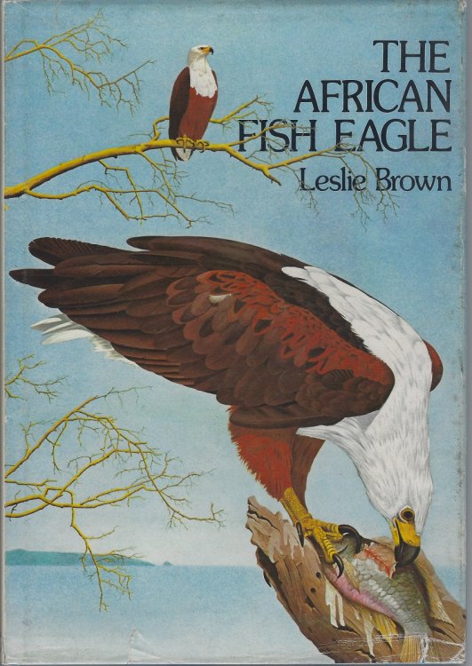 The African Fish Eagle