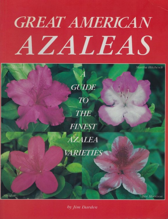Great American Azaleas - a Guide to the Finest Azalea Varieties