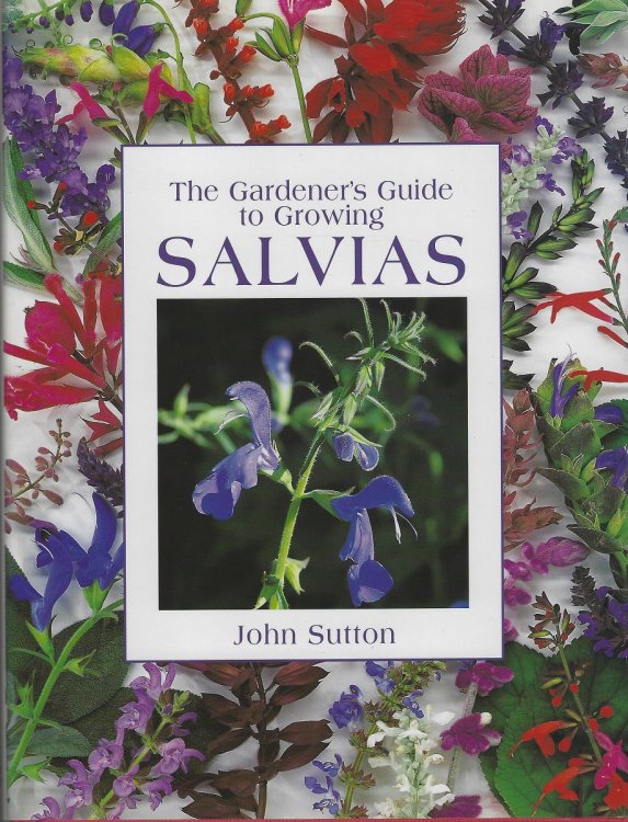 The Gardener's Guide to Growing Salvias