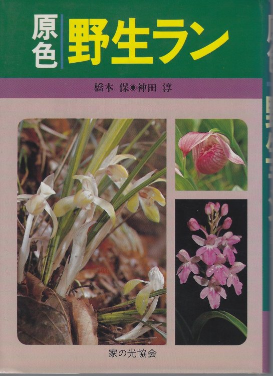 Japanese Indigenous Orchids in Colour