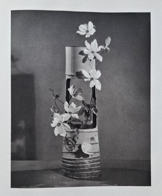 Japanese Flower Arrangement for Modern Homes