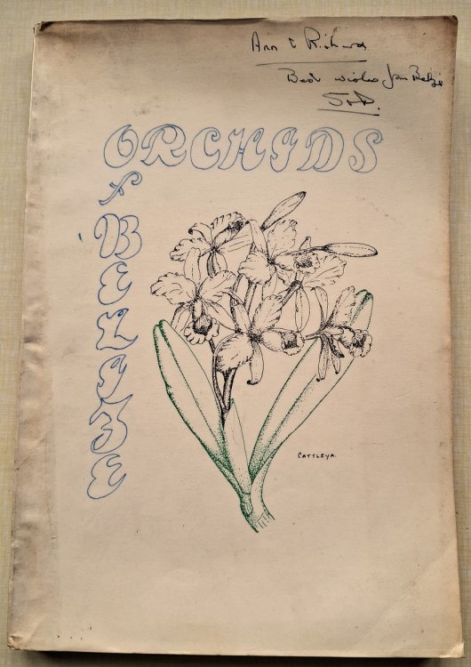 Image for Orchids of Belize Orchids of Belize