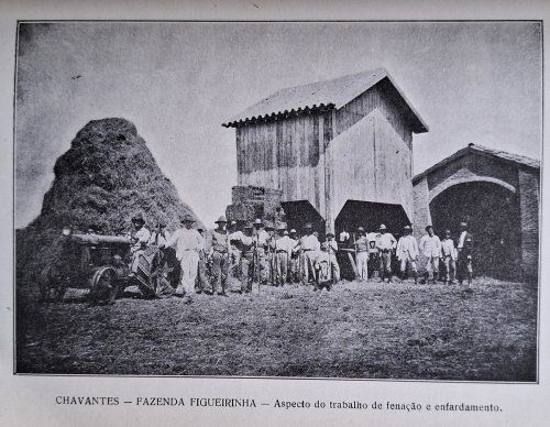 Image for Cultura da Alfafa Cultura da Alfafa