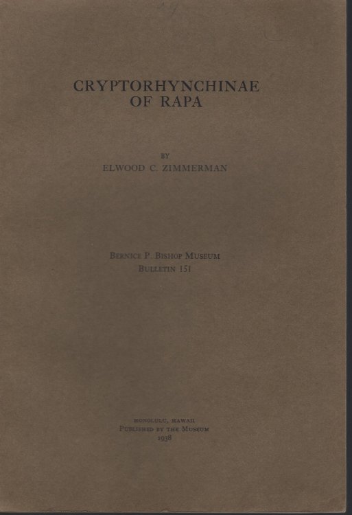 Cryptorhynchinae of Rapa