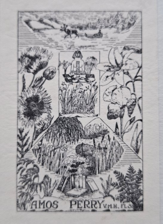 Synoptical Flora of North America: The Gamopetalae, Being Second Edition of Vol I Part II, And Vol II Part I, collected [With Amos Perry bookplate)