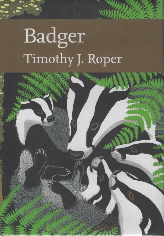 Badger