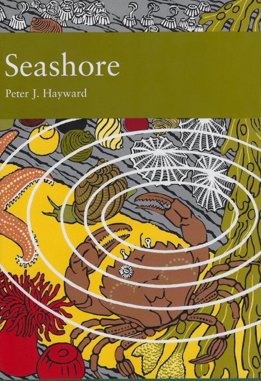 Seashore (New Naturalist 94)