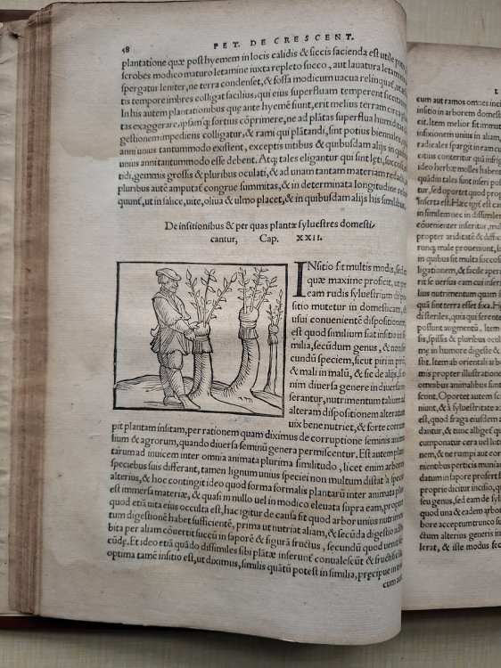 De Omnibus Agriculturae de partibus, and de plantarum animaliumque natura and utilitate lib.XII.non minus Philosophiar & medicinae. quam oeconomiae, agricolationis, paftionumqe studiofistutiles.