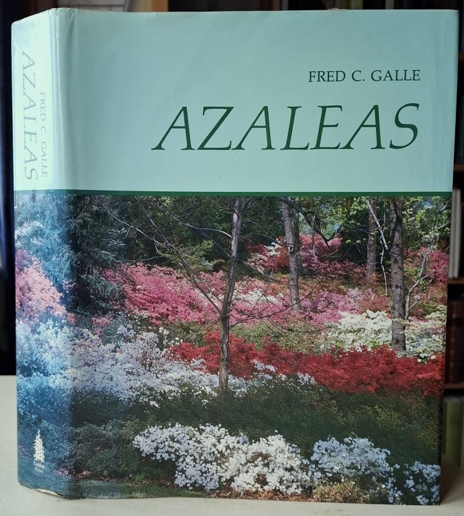 Azaleas