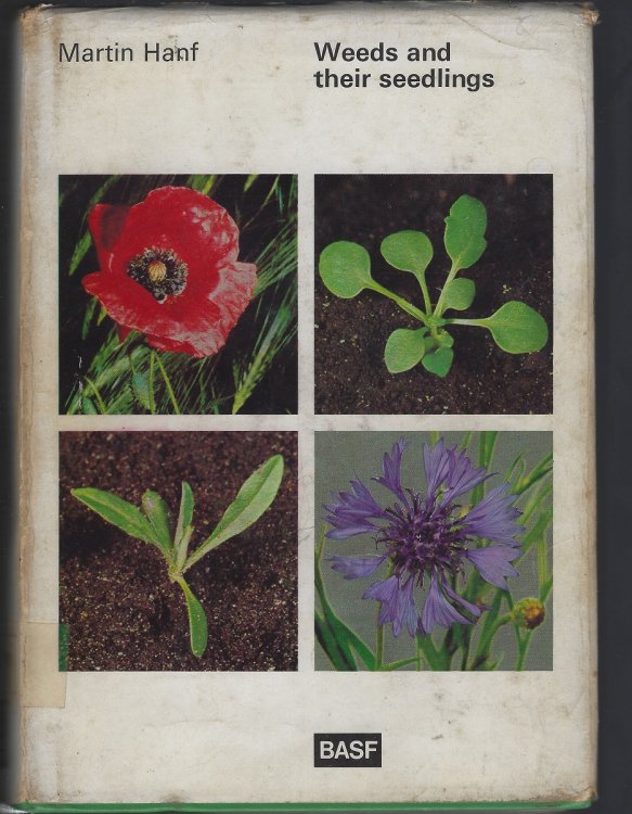 Weeds and Their Seedlings
