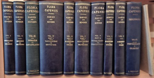 Flora Capensis : being a systematic description of the plants of the Cape Colony, Caffraria and Port Natal., Volumes 1 - 7 complete
